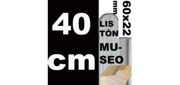LISTÓN MUSEO (60 X 22) - 40 CM