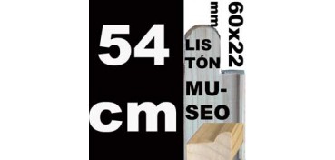 LISTÓN MUSEO (60 X 22) - 54 CM