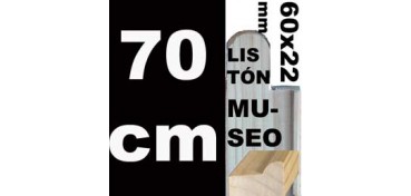 LISTÓN MUSEO (60 X 22) - 70 CM