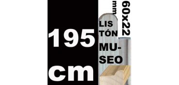 LISTÓN MUSEO (60 X 22) - 195 CM