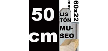 LISTÓN MUSEO (60 X 22) - 50 CM