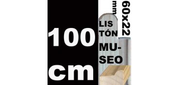 LISTÓN MUSEO (60 X 22) - 100 CM