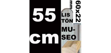 LISTÓN MUSEO (60 X 22) - 55 CM