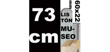LISTÓN MUSEO (60 X 22) - 73 CM